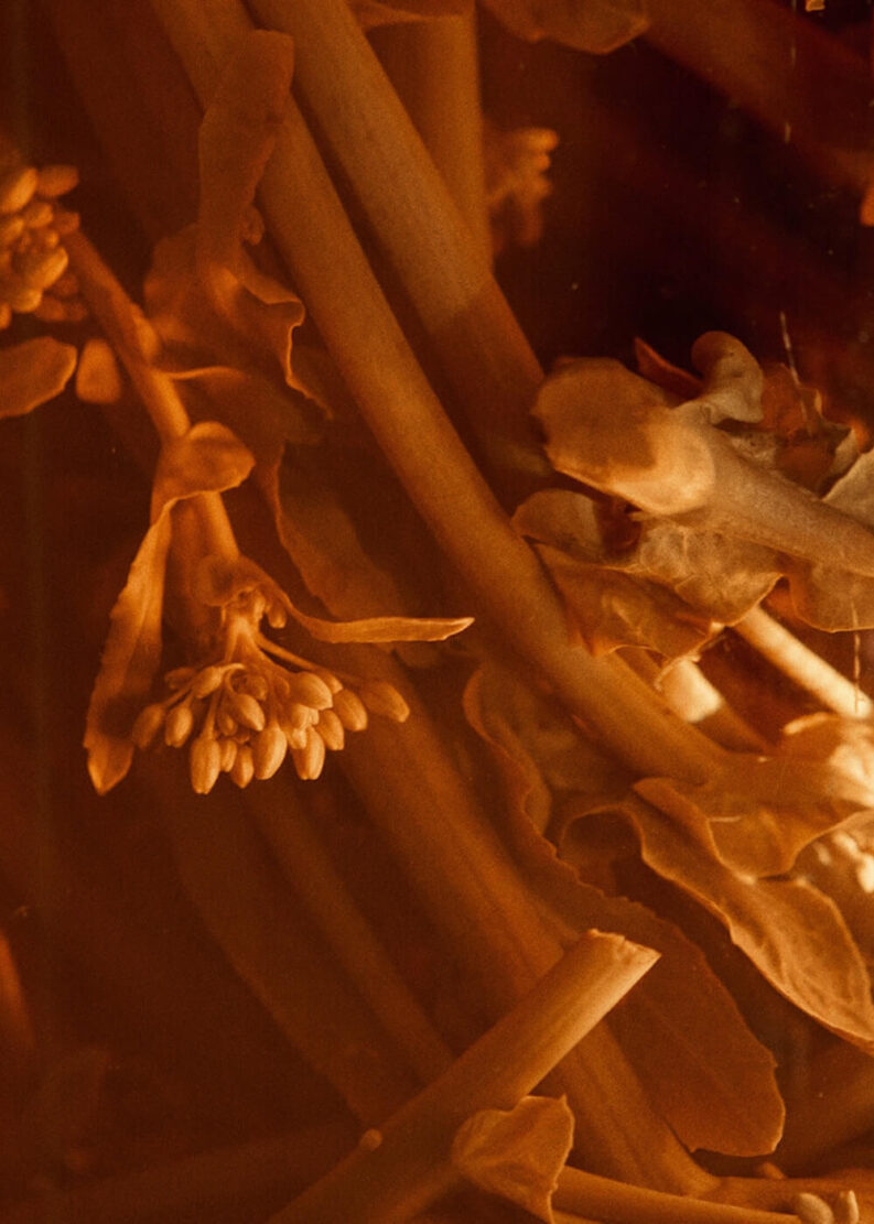 3-1-aspect-ratio-793-1111